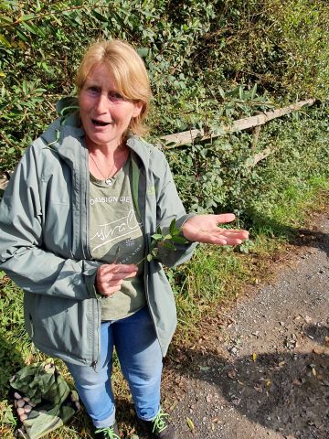 Agnes Meyer